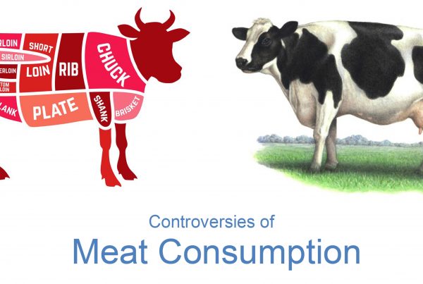 Exemple dossier controverse : Meat consumption